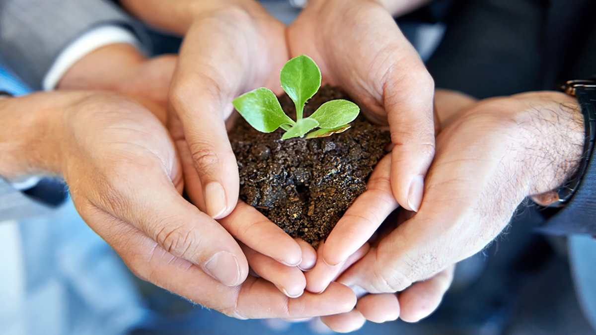 Strata Select Insights