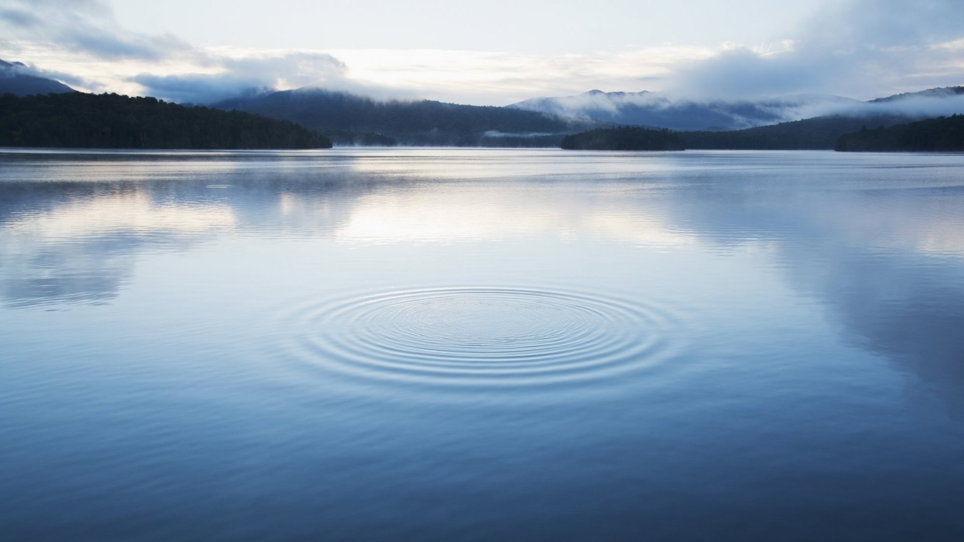 Strata Select Insights