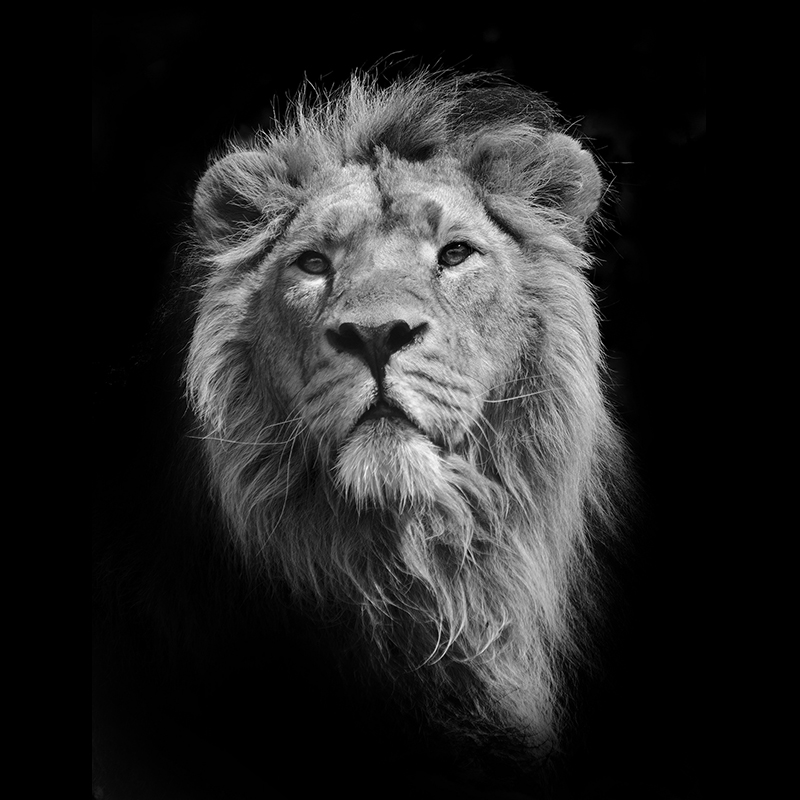 Strata Select | Reach Solutions